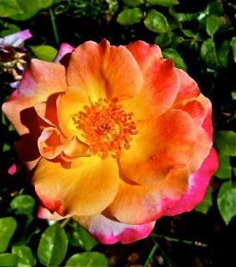 ©Simon Chilembo, 2015 